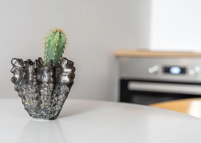 Location In With Wifi Apartment *